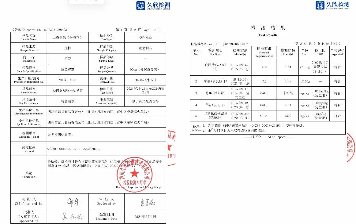 CNAS Inspection Report